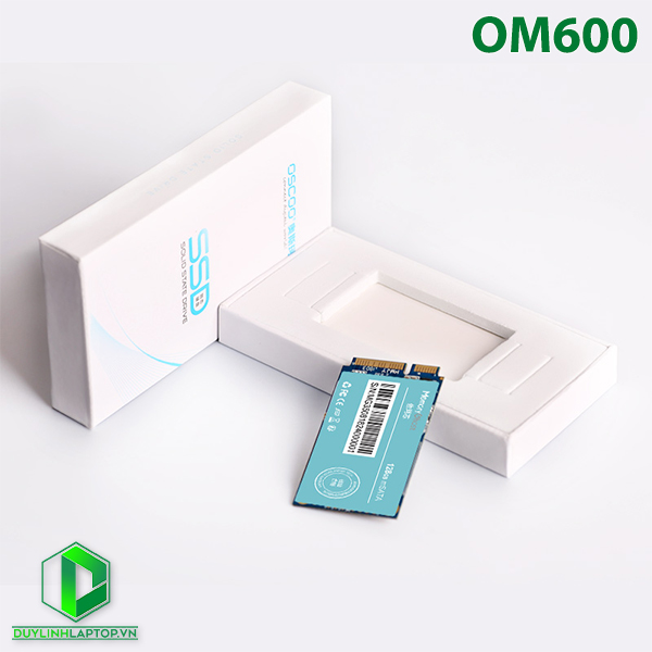 Ổ Cứng SSD mSATA Memory Ghost OM600 256GB